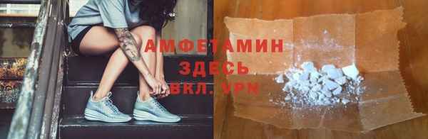 шишки Арсеньев