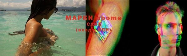 шишки Арсеньев