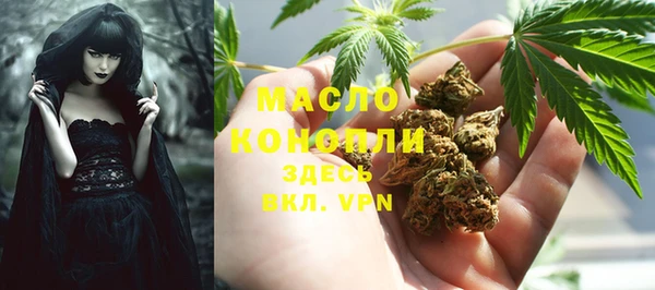шишки Арсеньев