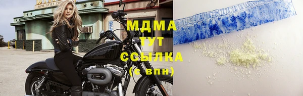 шишки Арсеньев